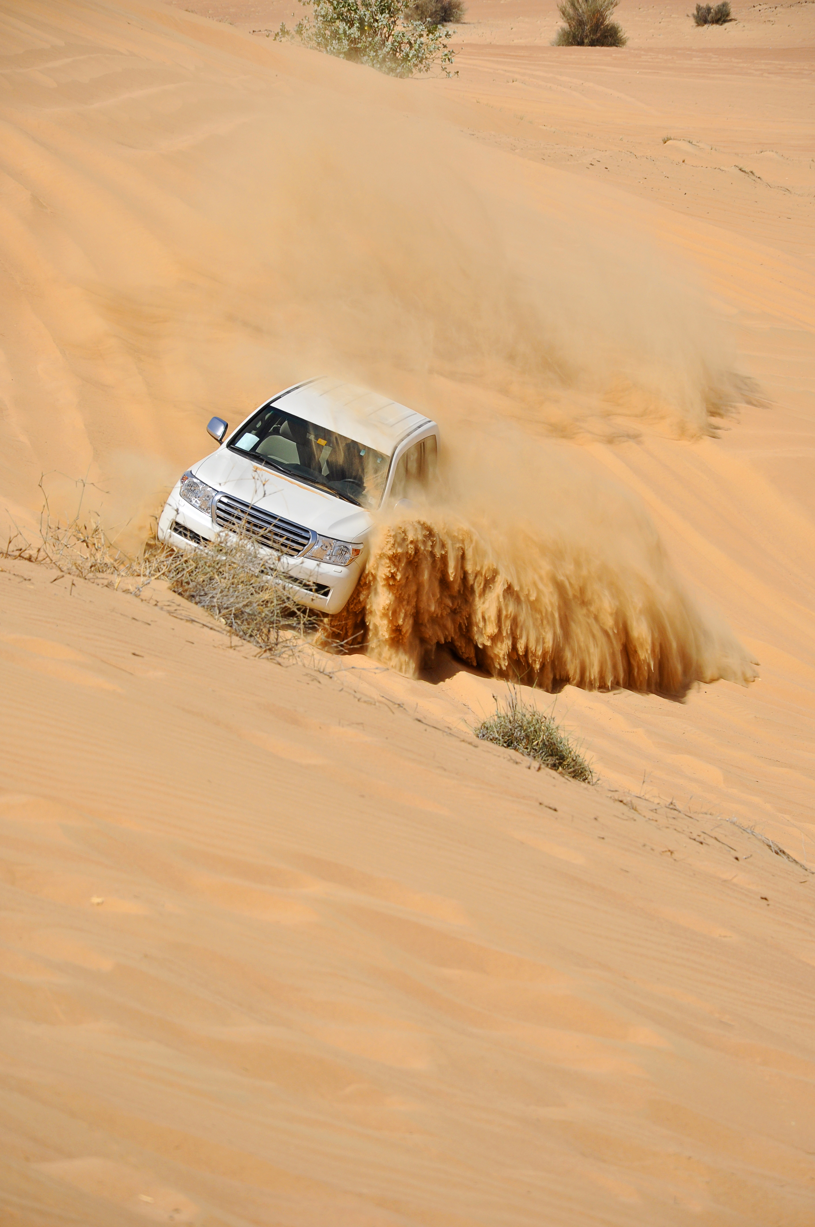 https://d3r8gwkgo0io6y.cloudfront.net/upload/Desert safari 4.jpg